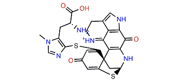 (6R,8R,7'S)-Discorhabdin K2